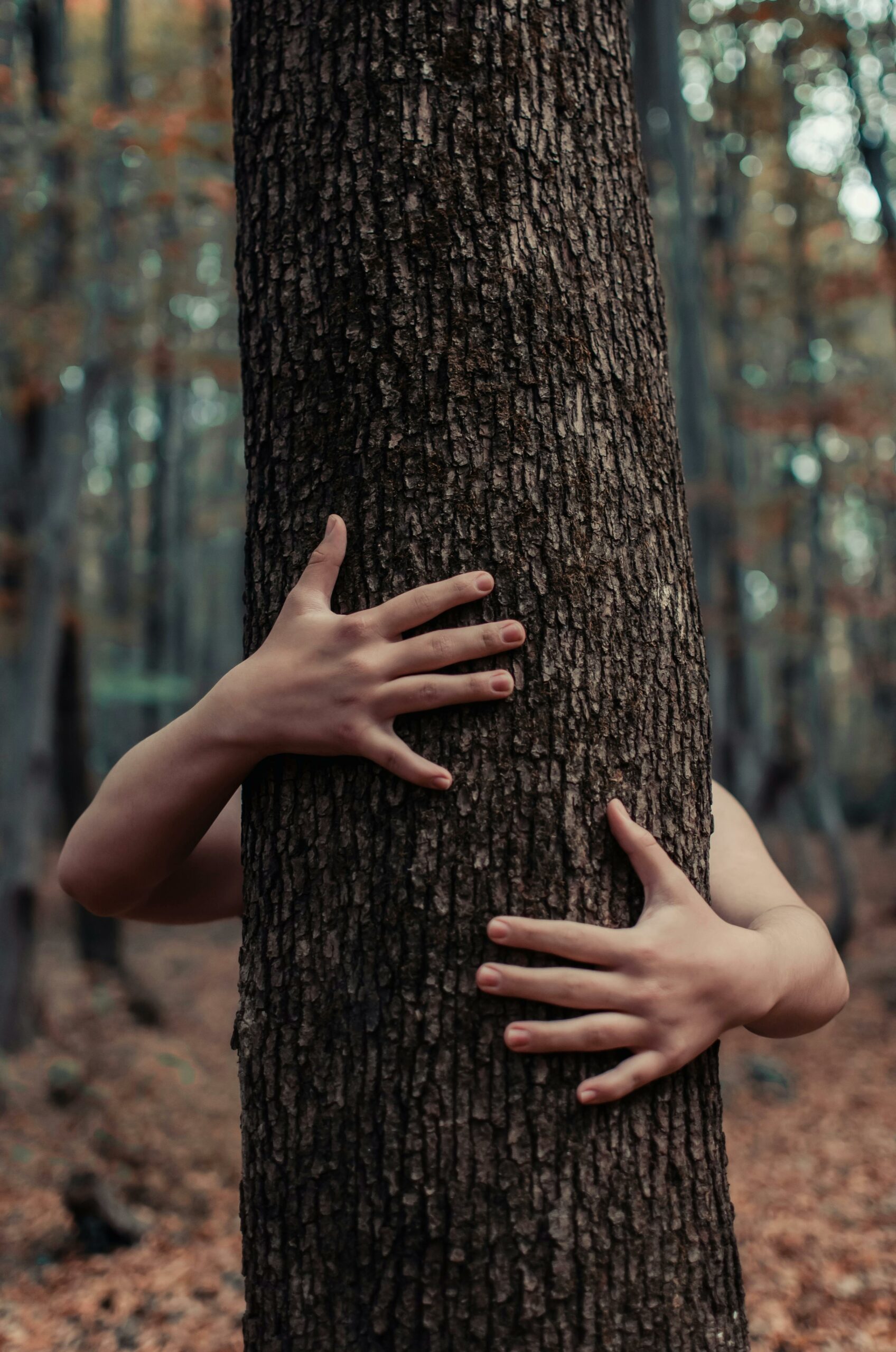 Mains qui entourent un arbre